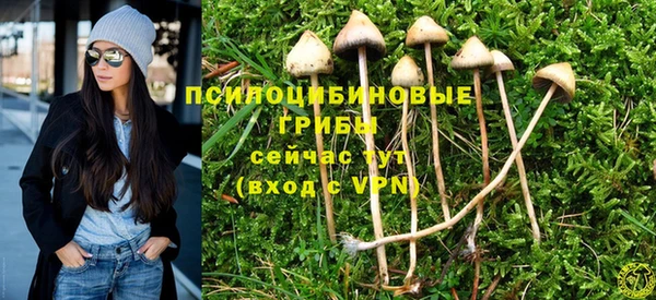 бутират Аркадак