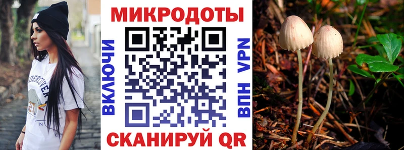 Псилоцибиновые грибы Cubensis  Гурьевск 